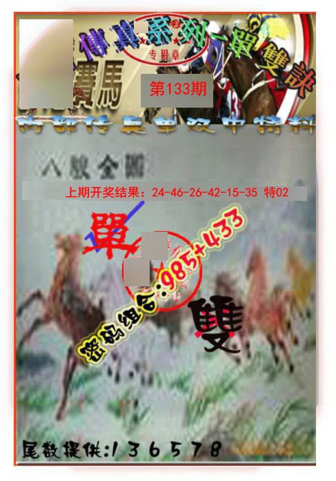 133期马会传真-单双诀[图]