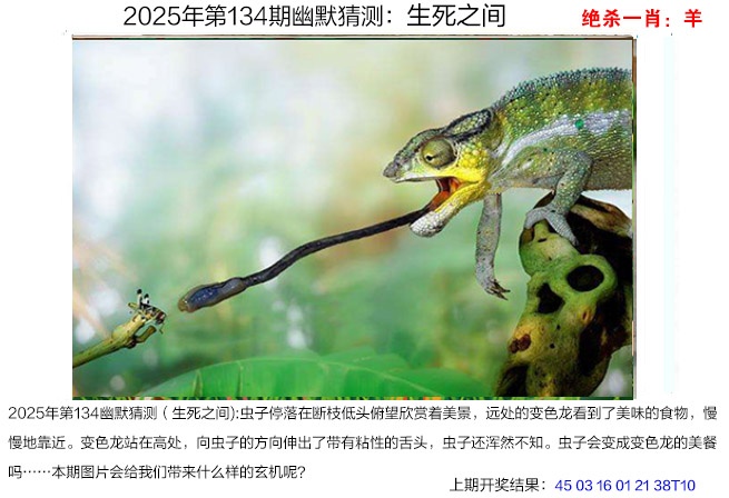 134期幽默猜测[图]
