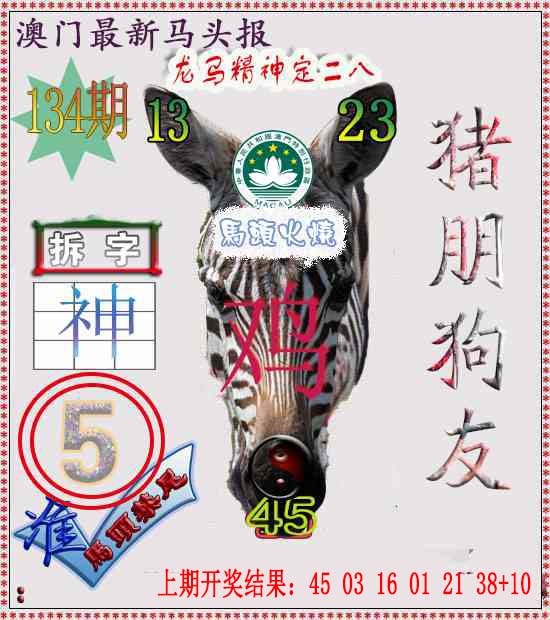 134期马头报[图]