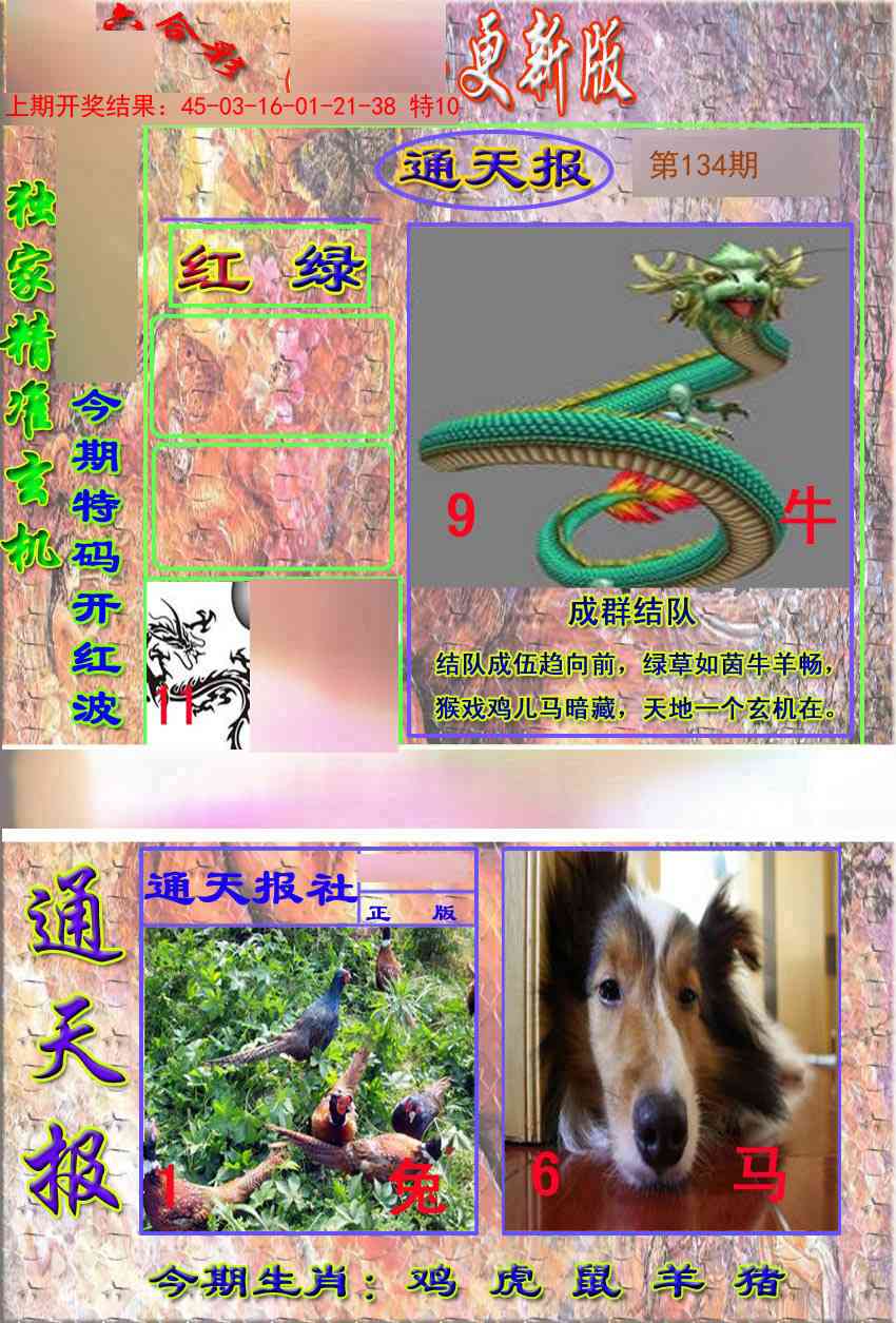 134期新通报[图]