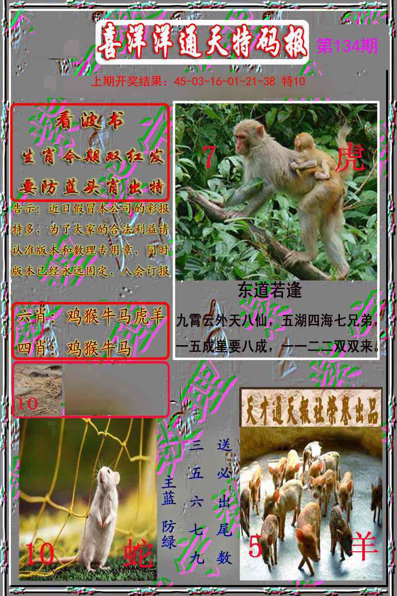 134期洋通报[图]