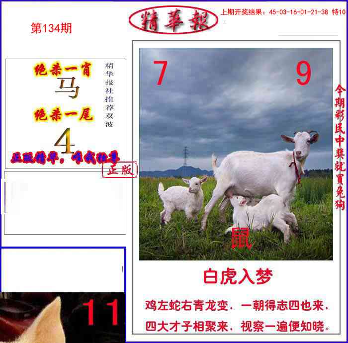 134期新精华报报[图]