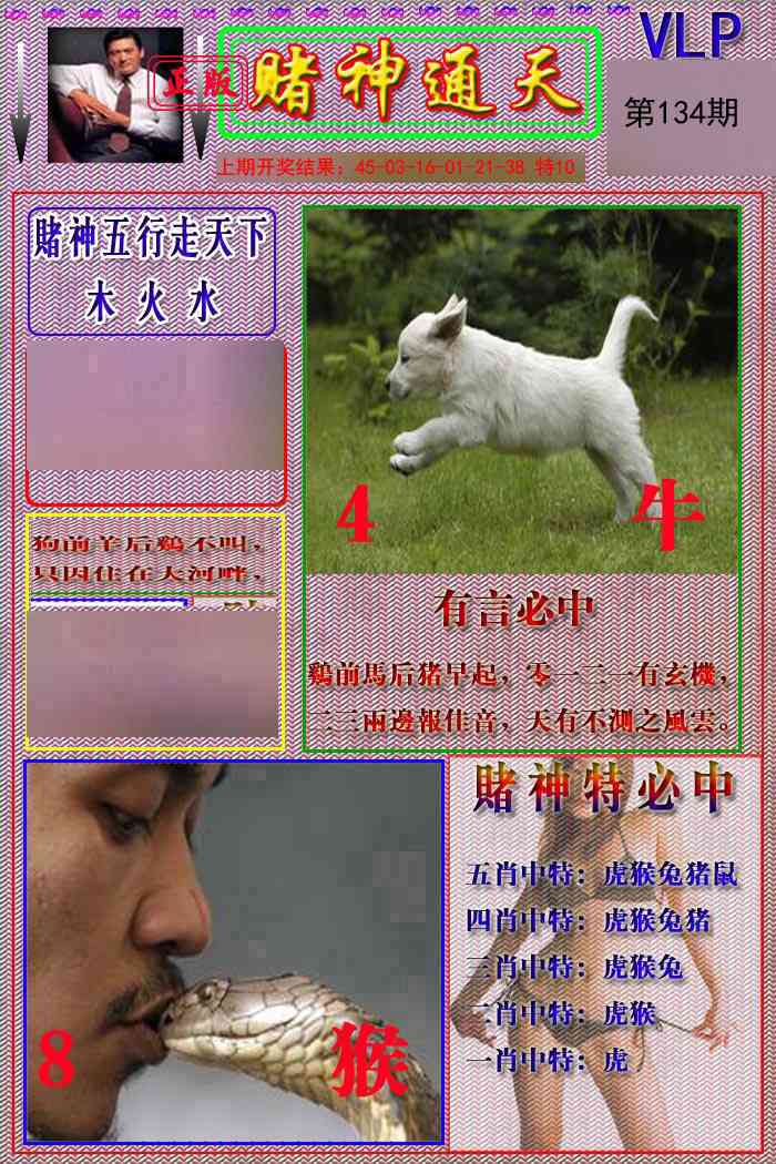 134期赌神通天报[图]
