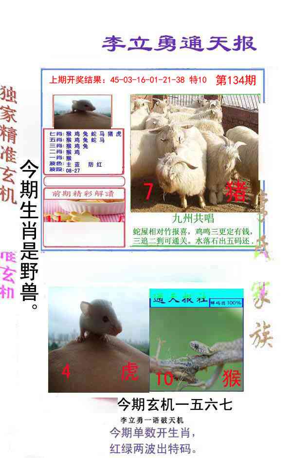 134期李立勇通天报[图]