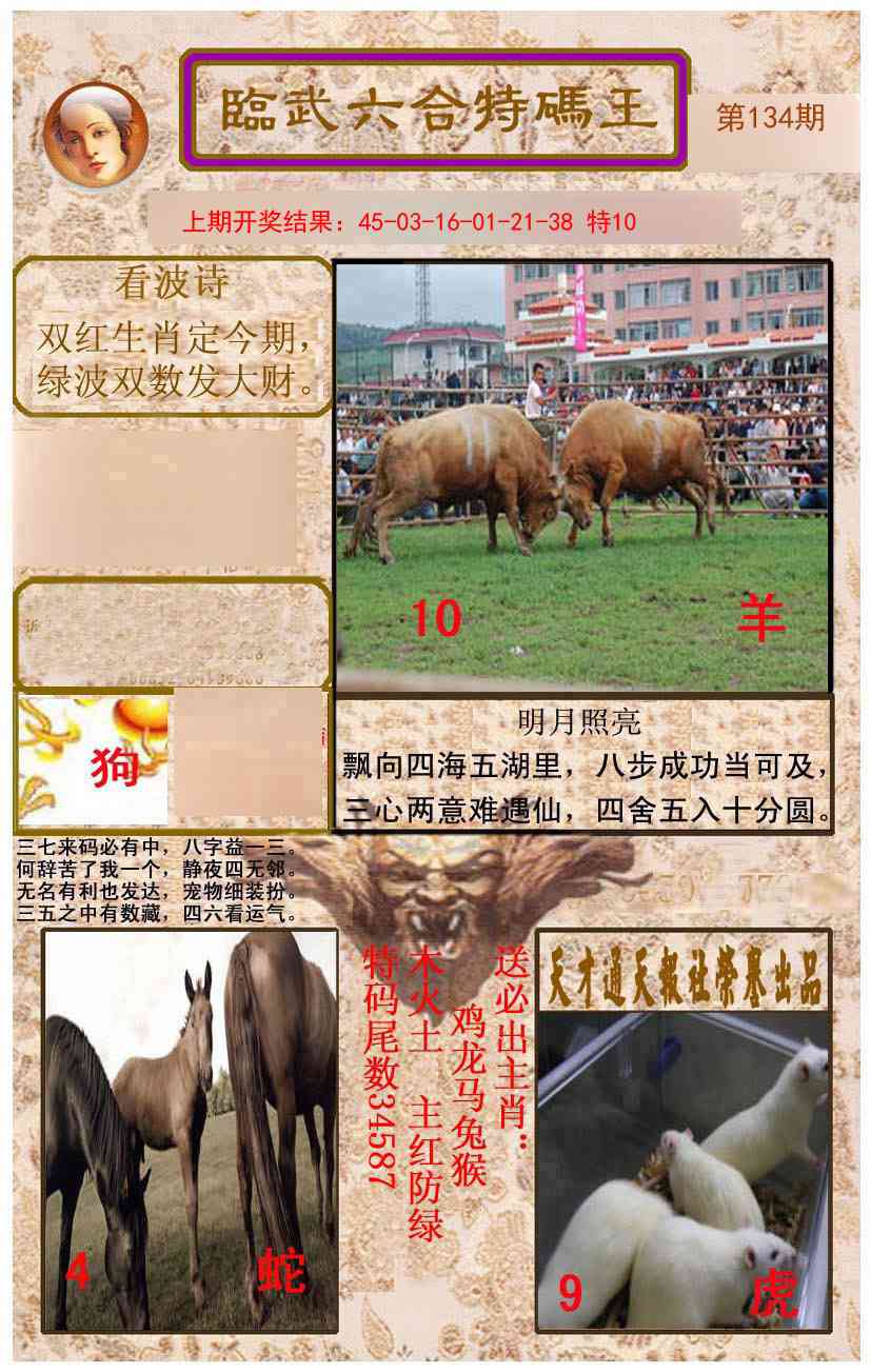 134期临武六合特码王[图]