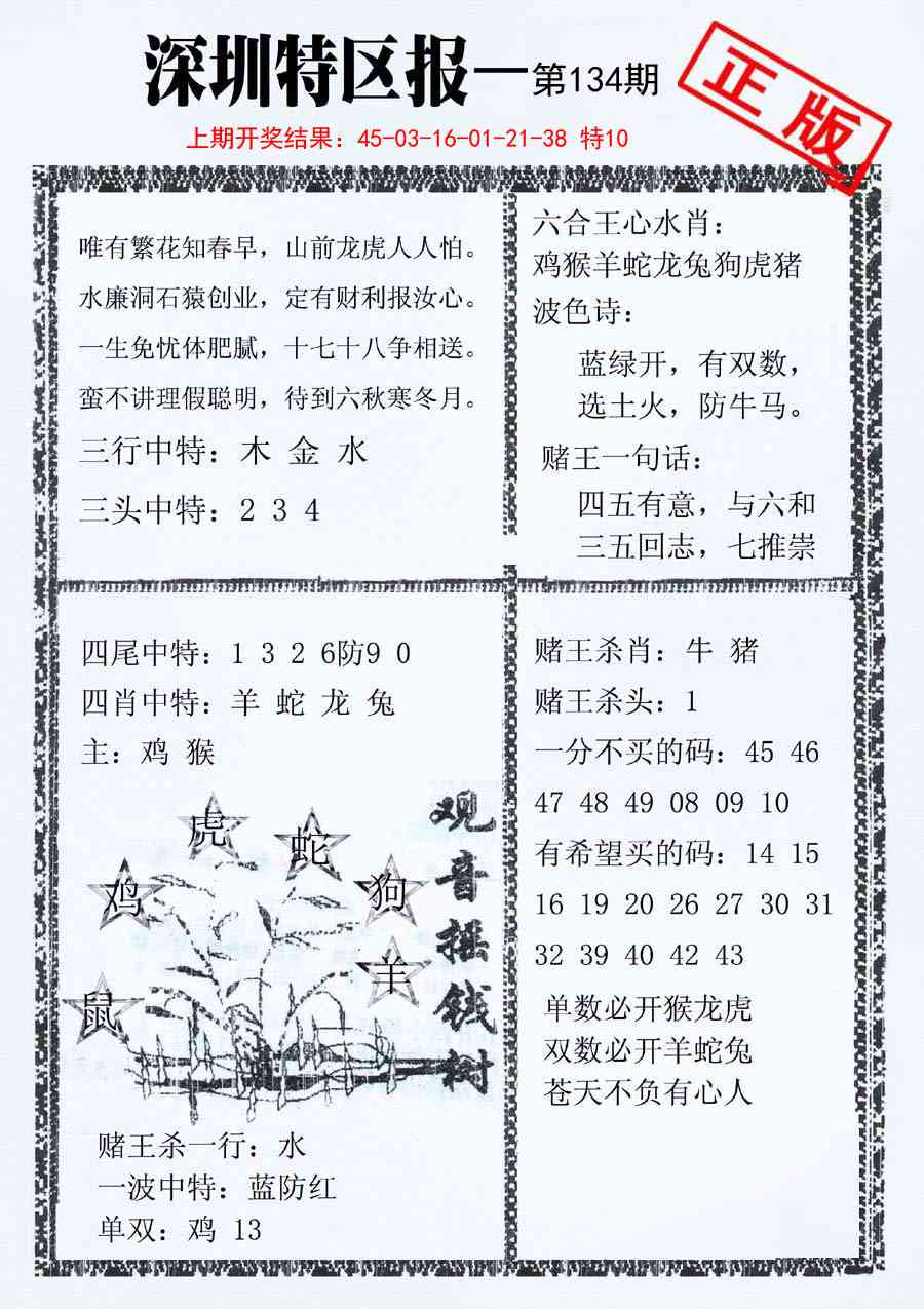 134期深圳特区报A[图]