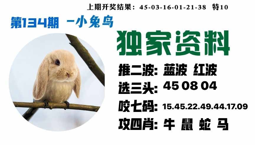 134期小兔鸟[图]