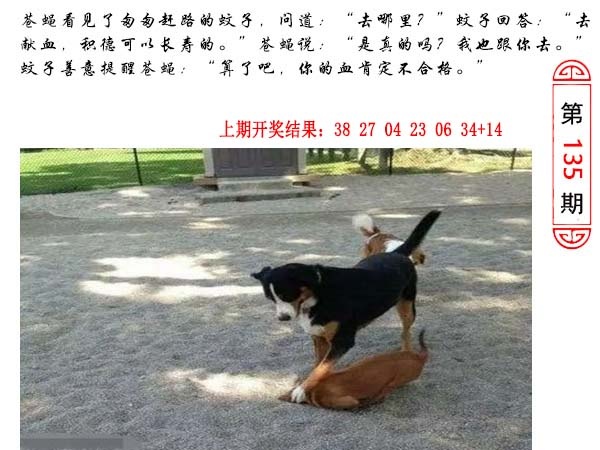 135期澳门生活幽默[图]