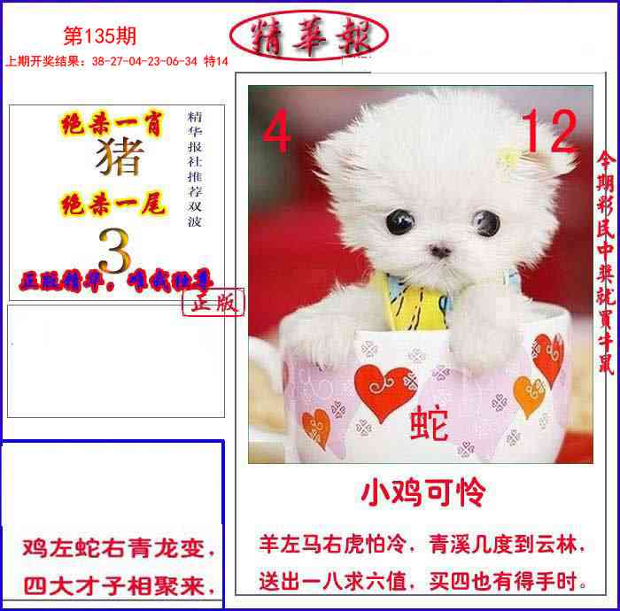 135期新精华报报[图]