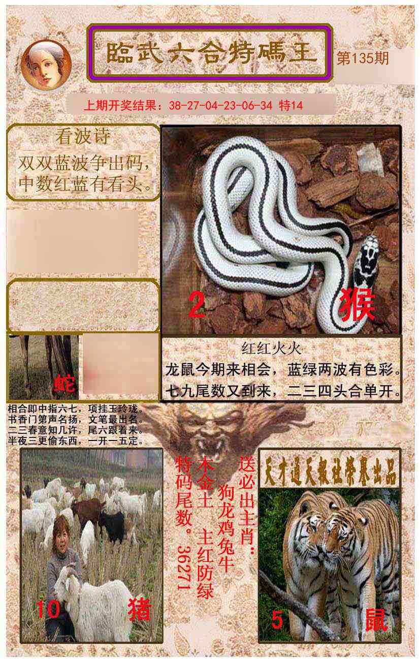 135期临武六合特码王[图]