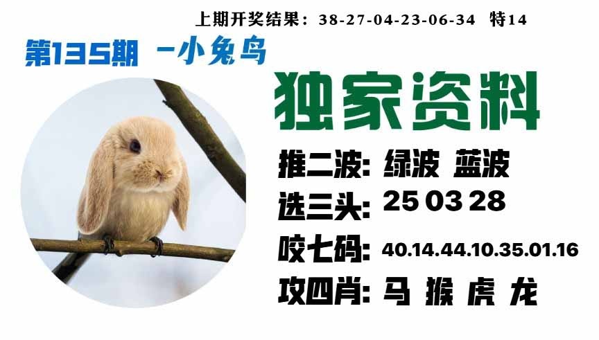 135期小兔鸟[图]