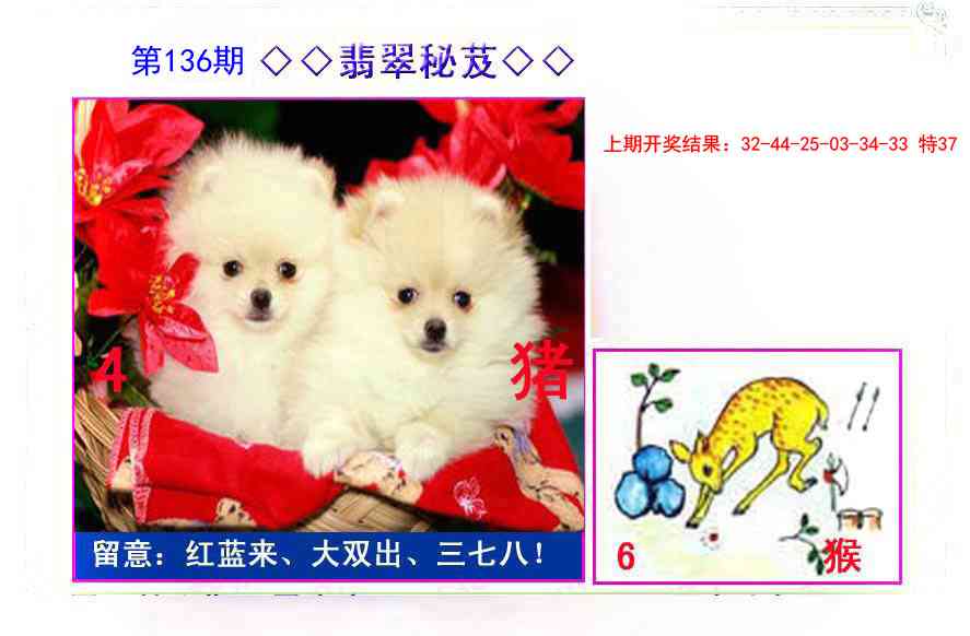 136期翡翠报[图]