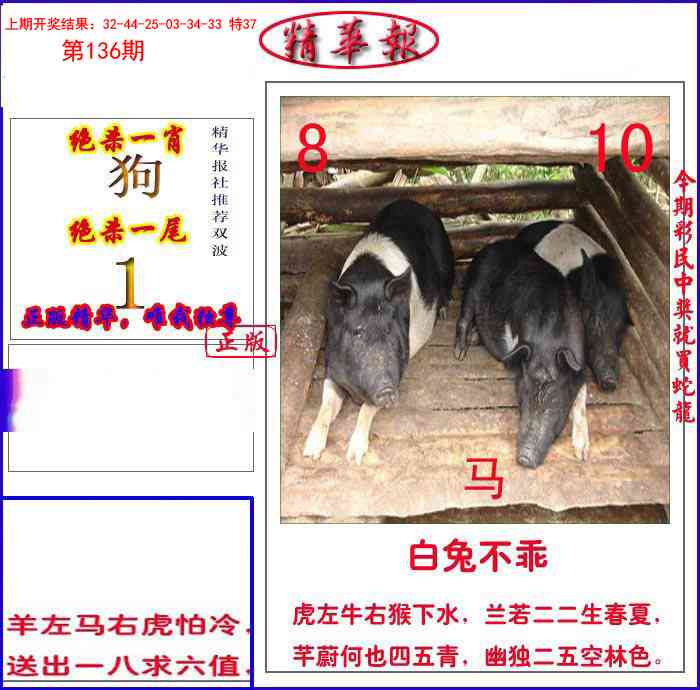 136期新精华报报[图]