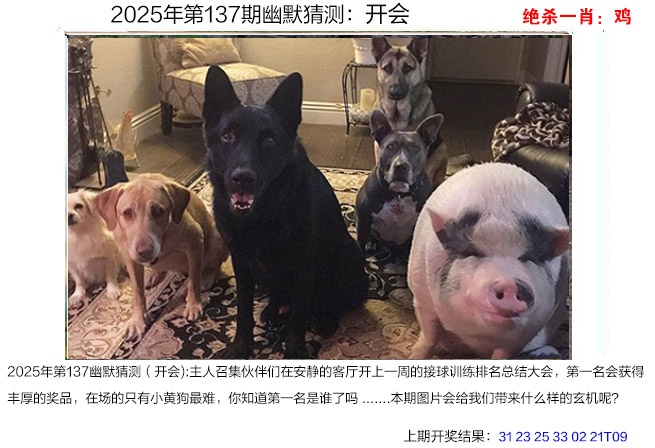 137期幽默猜测[图]