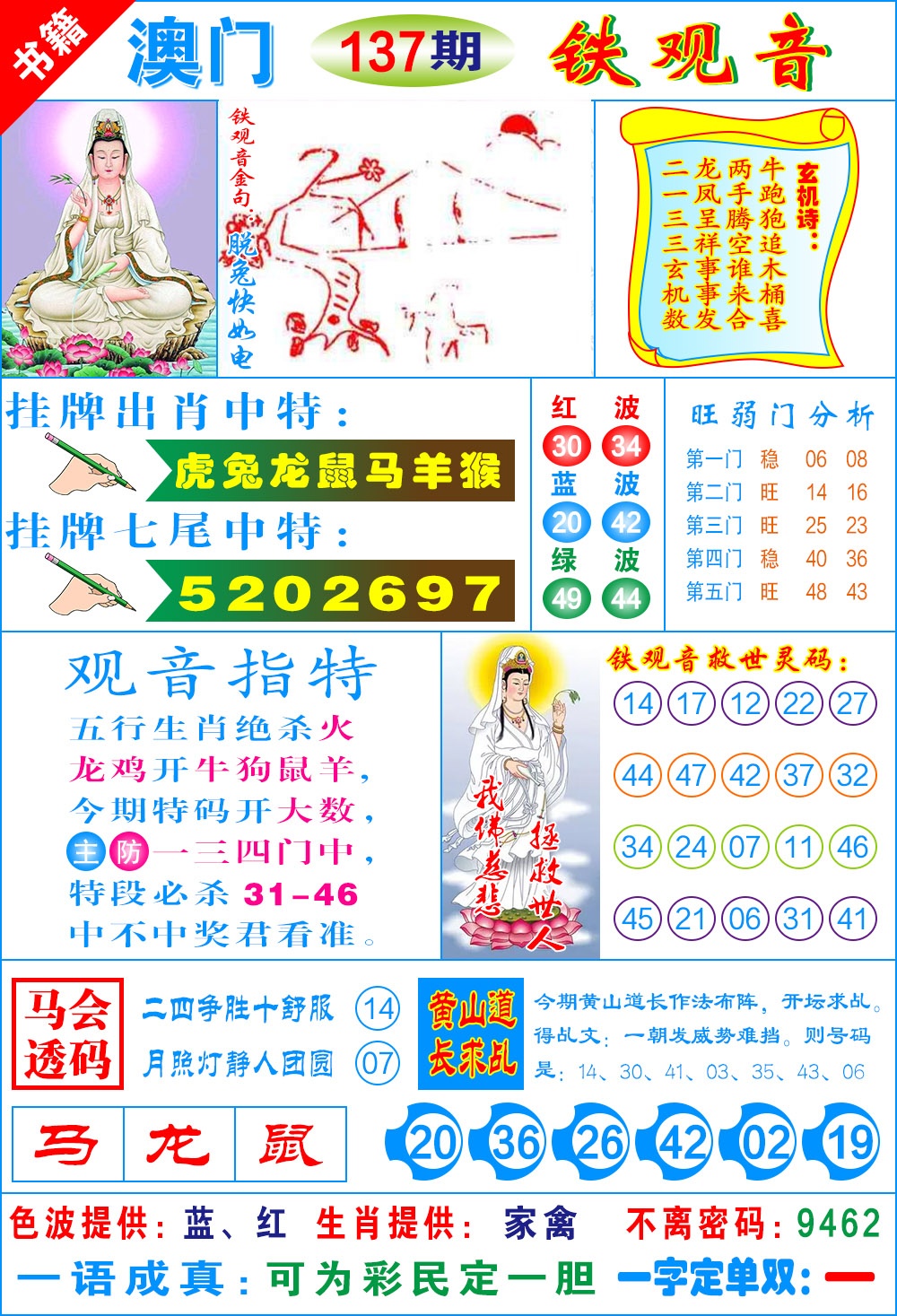 137期澳门铁观音[图]