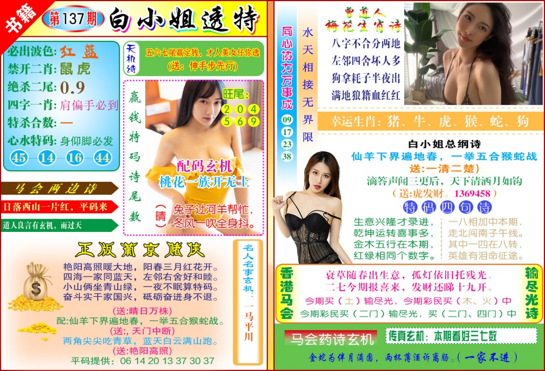 137期澳门白小姐透特[图]