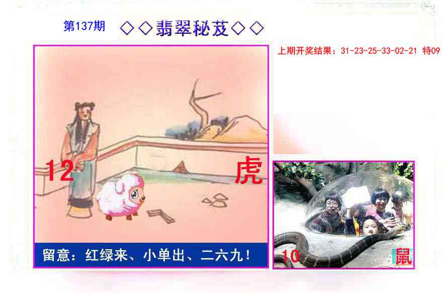 137期翡翠报[图]