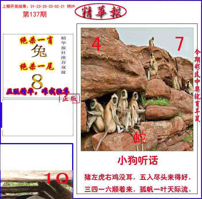 137期新精华报报[图]