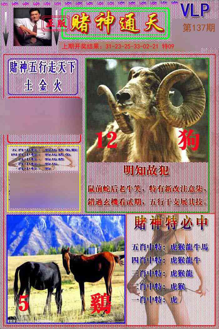 137期赌神通天报[图]