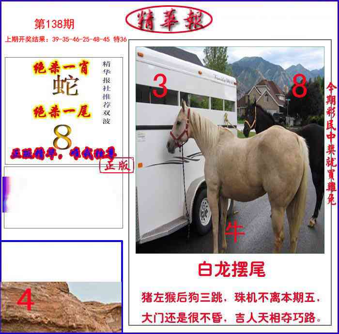 138期新精华报报[图]