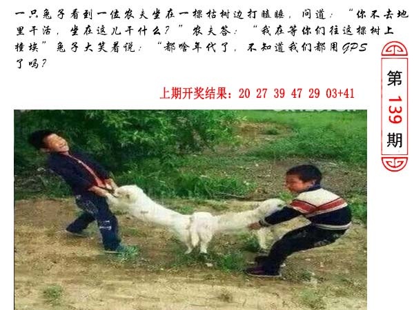 139期澳门生活幽默[图]