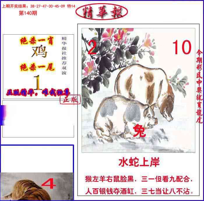 140期新精华报报[图]