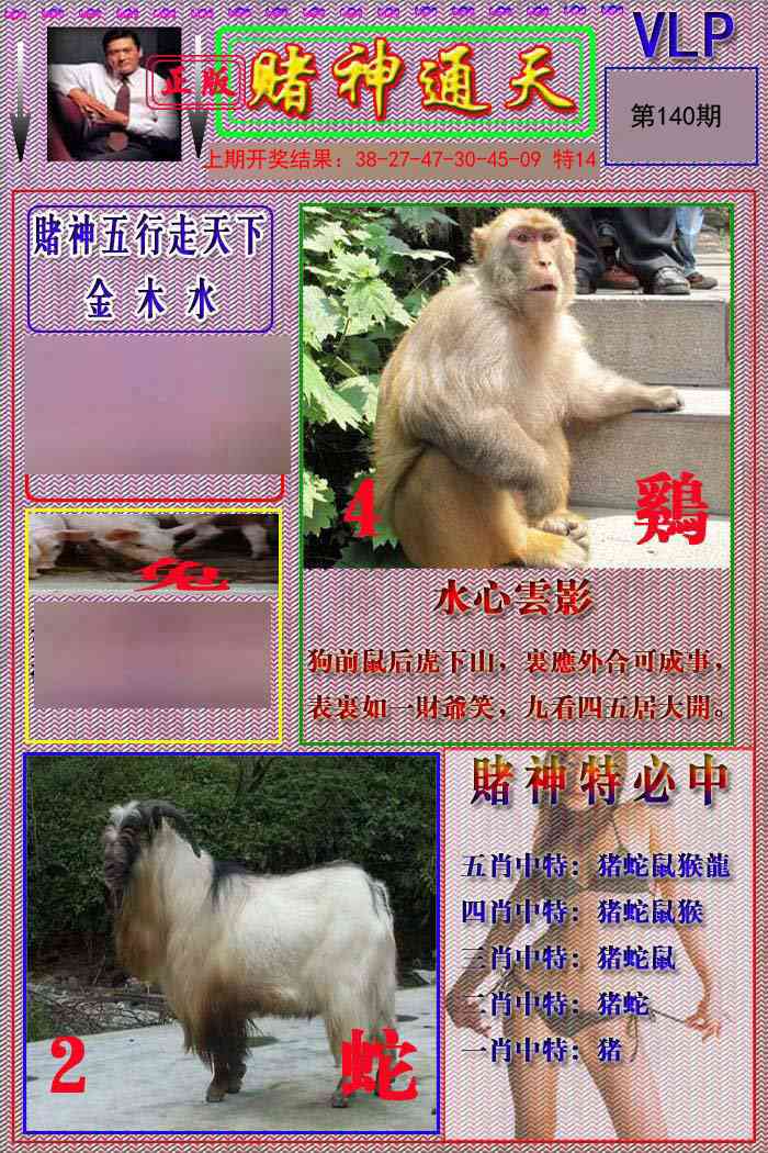 140期赌神通天报[图]