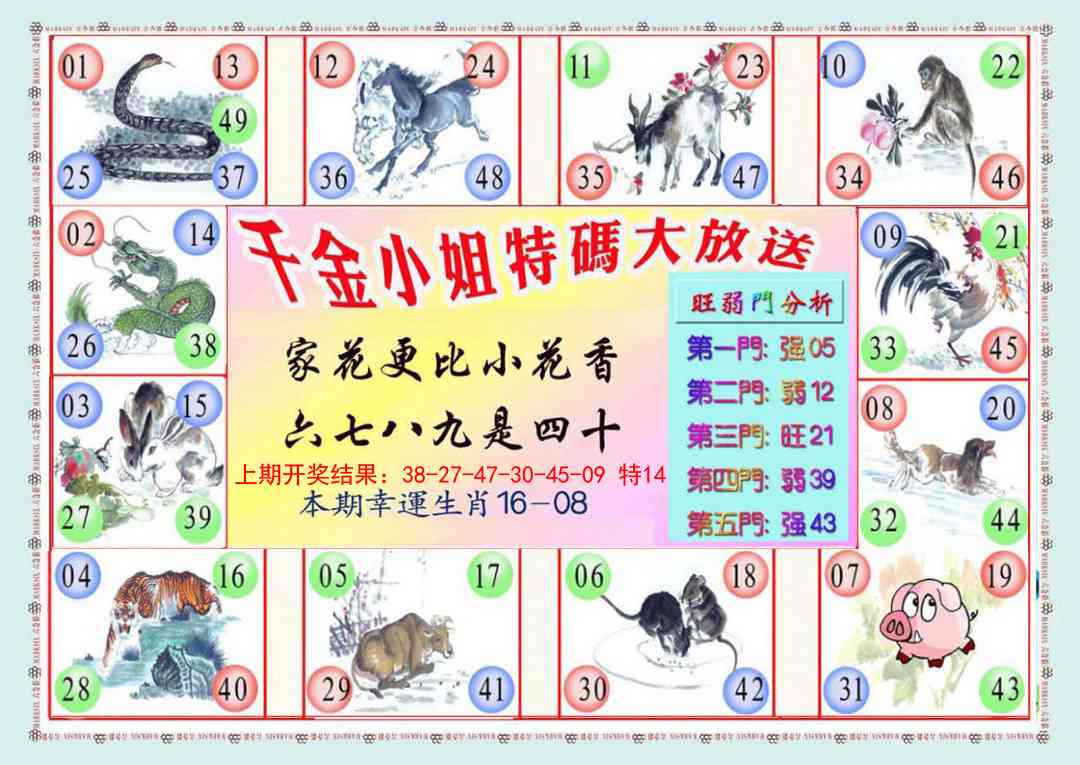 140期千金小姐B版[图]