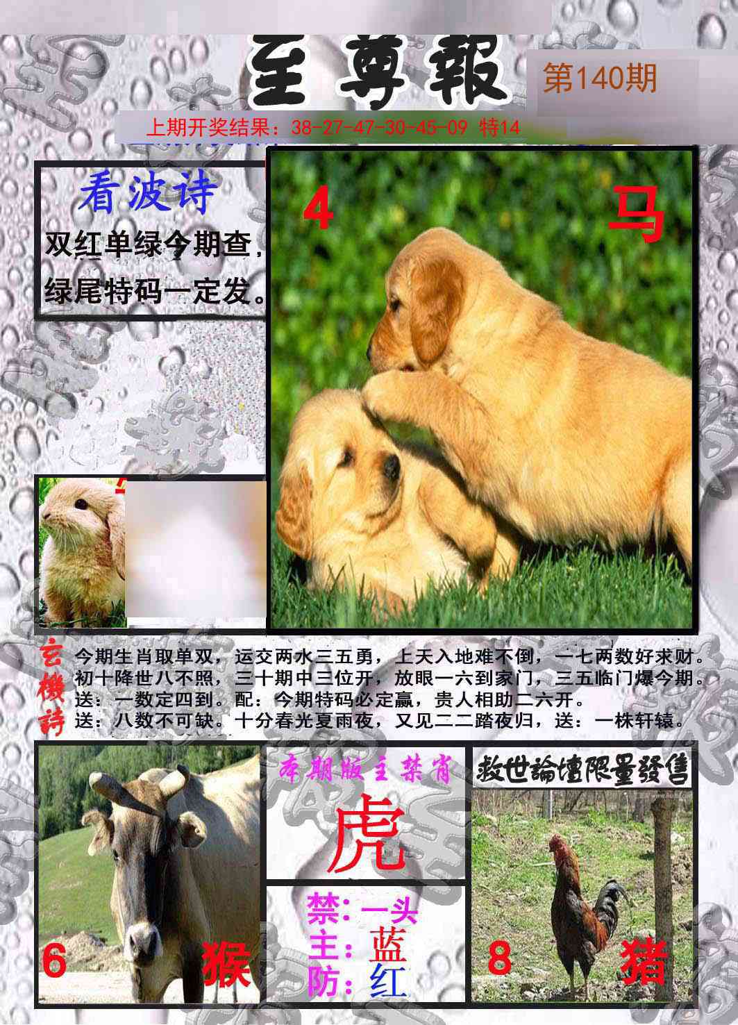 140期至尊报[图]