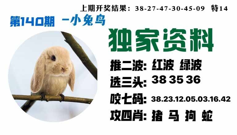 140期小兔鸟[图]