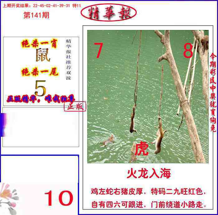 141期新精华报报[图]