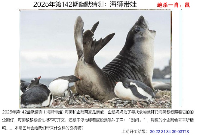 142期幽默猜测[图]