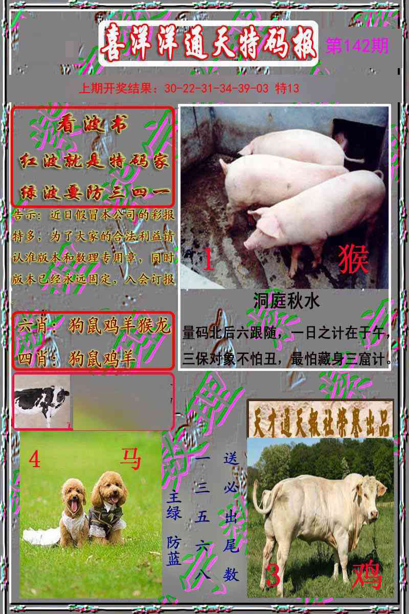 142期洋通报[图]