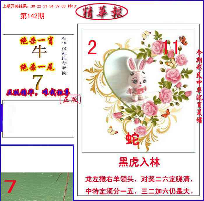 142期新精华报报[图]