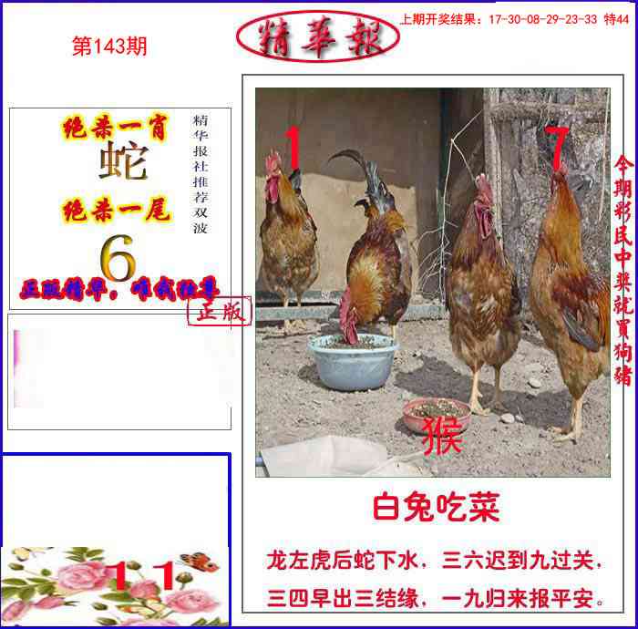 143期新精华报报[图]