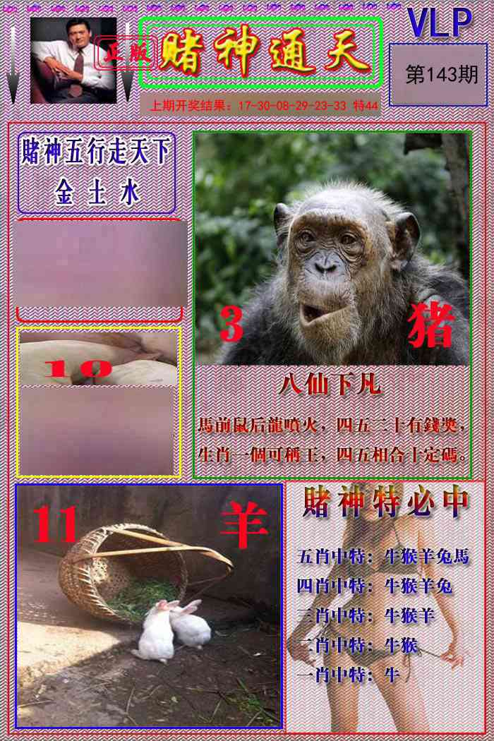143期赌神通天报[图]