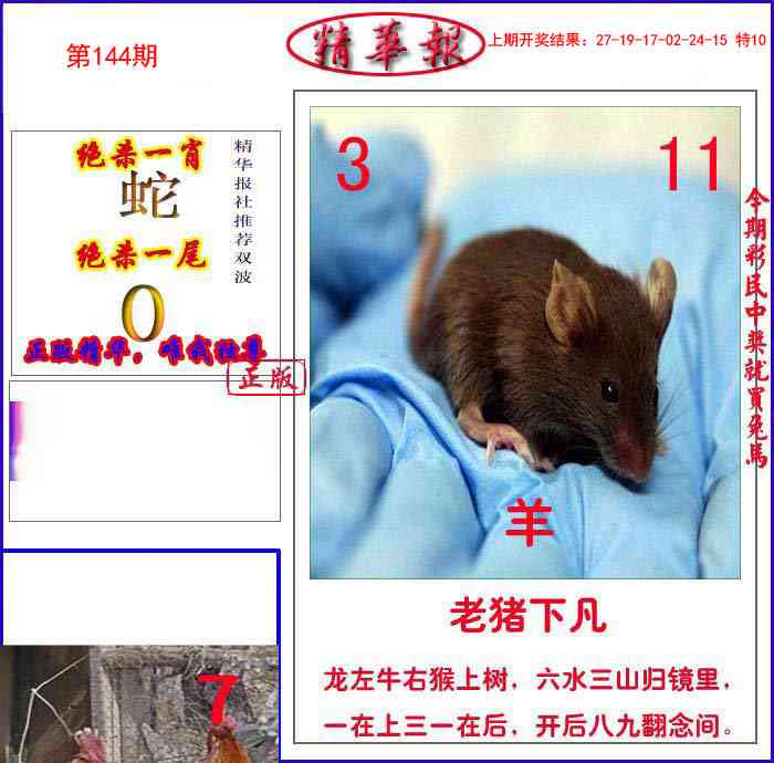 144期新精华报报[图]