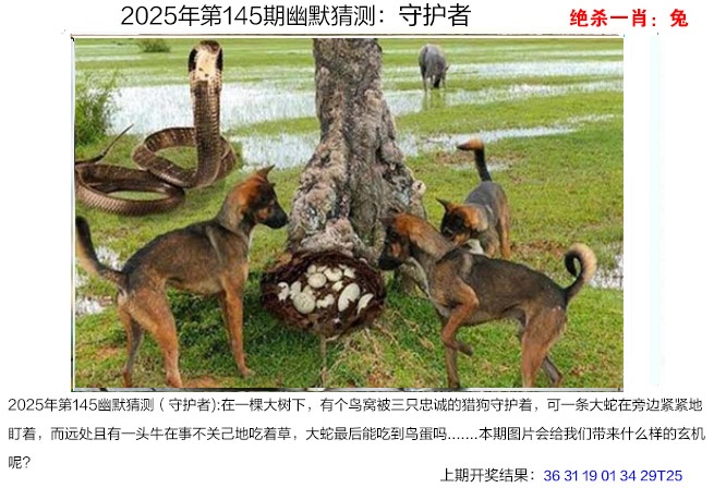 145期幽默猜测[图]