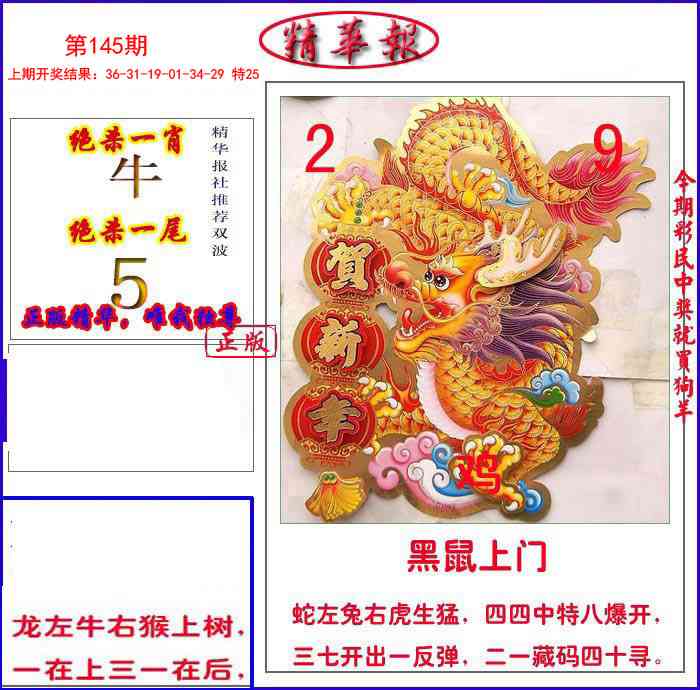 145期新精华报报[图]