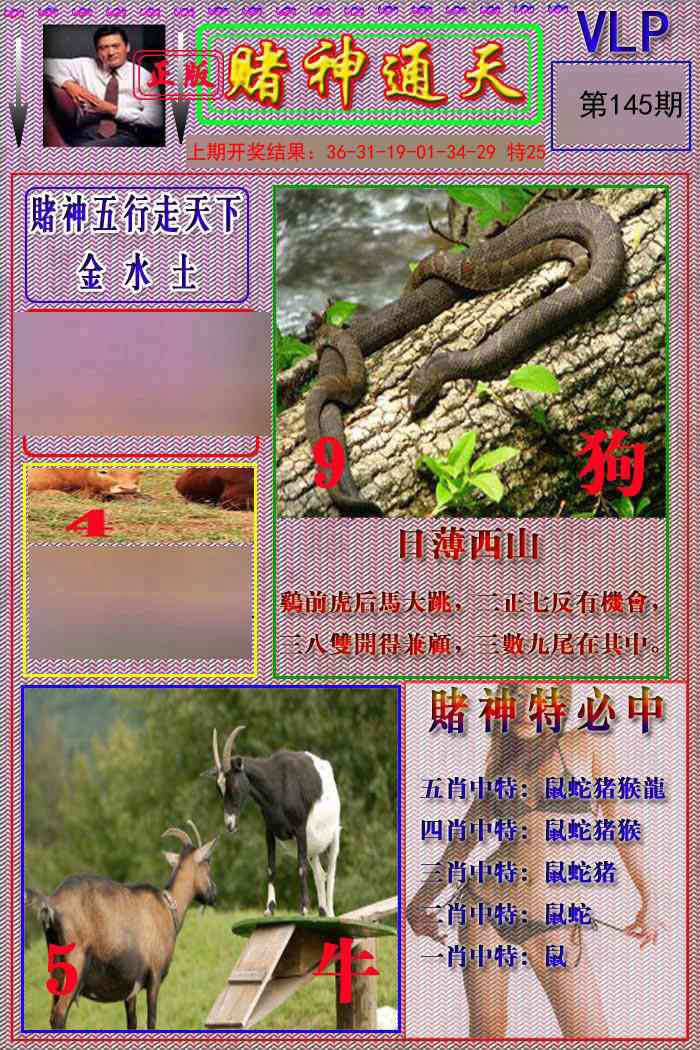 145期赌神通天报[图]