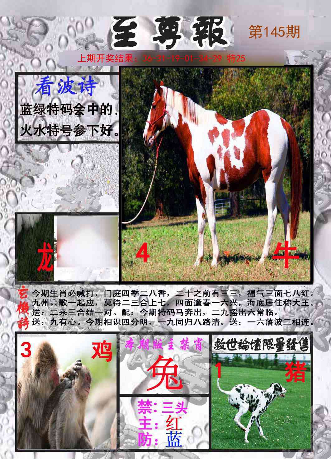 145期至尊报[图]