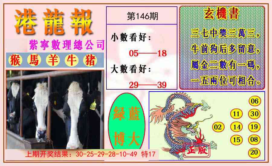 146期港龙报[图]
