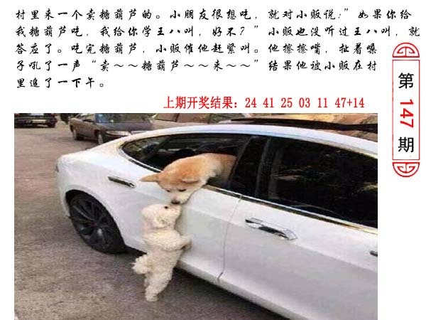 147期澳门生活幽默[图]