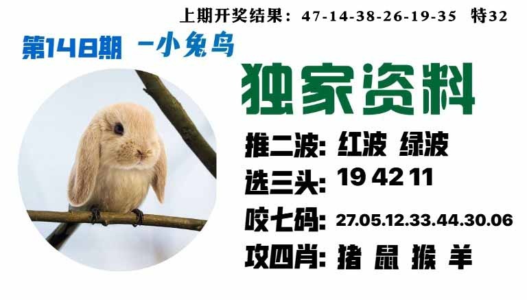 148期小兔鸟[图]