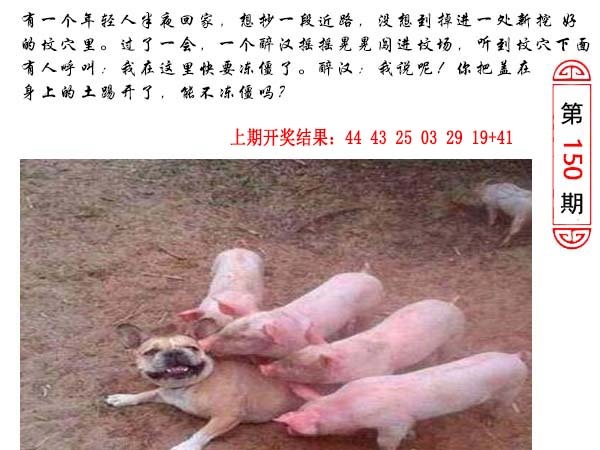 150期澳门生活幽默[图]