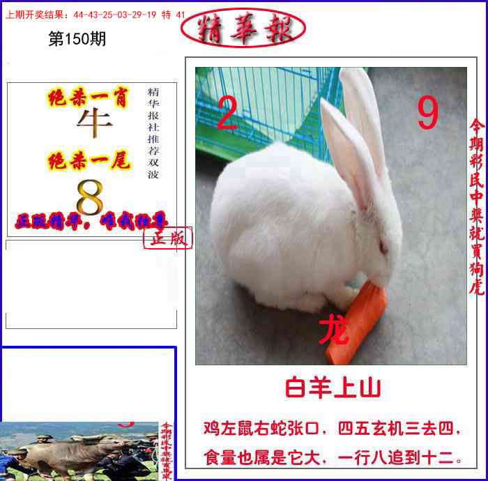 150期新精华报报[图]