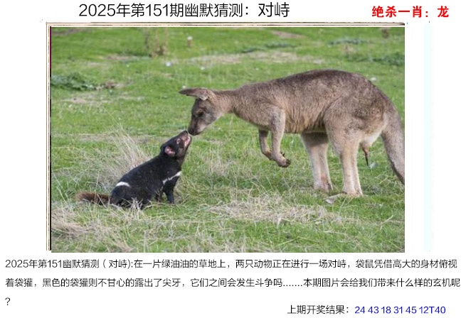 151期幽默猜测[图]