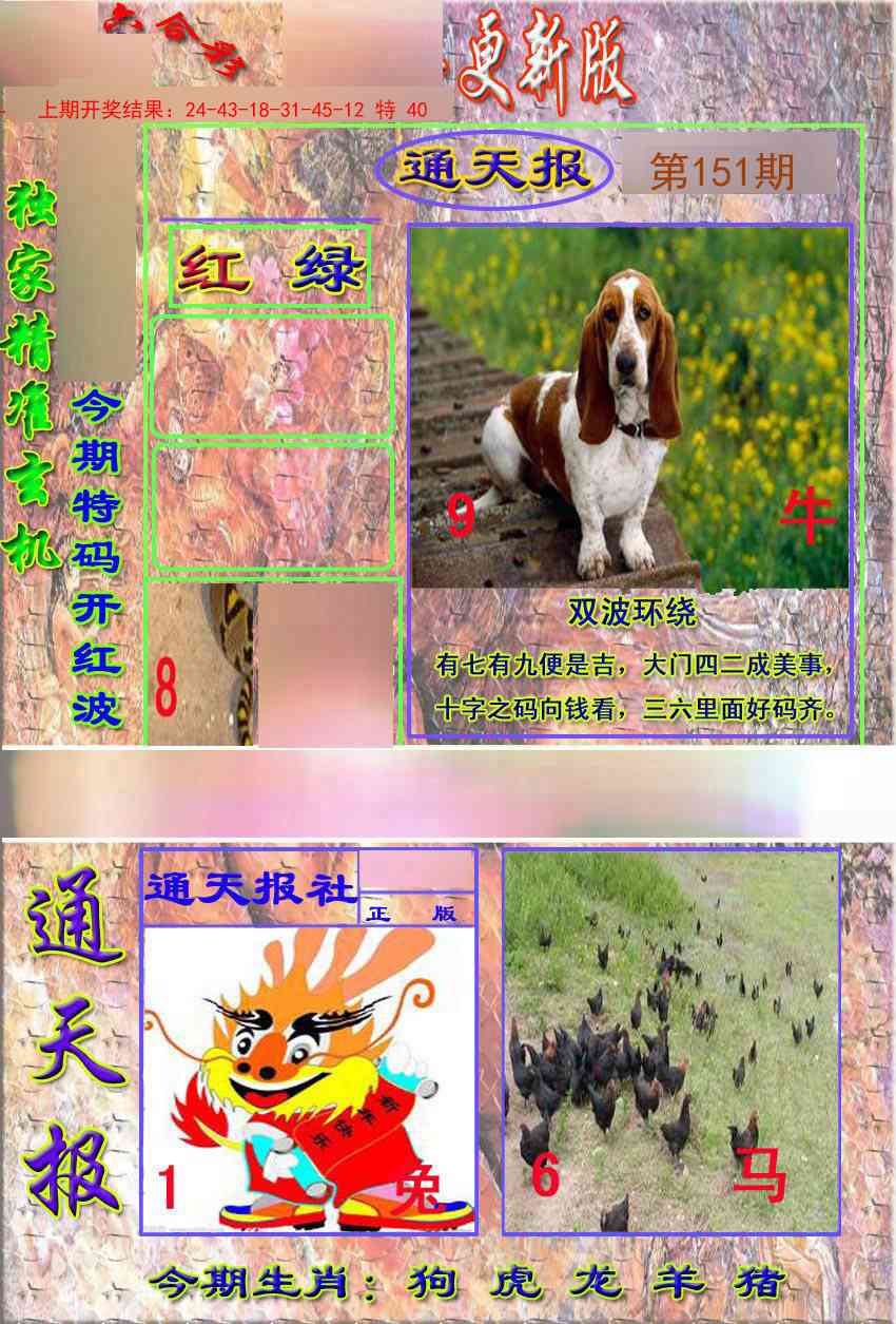 151期新通报[图]