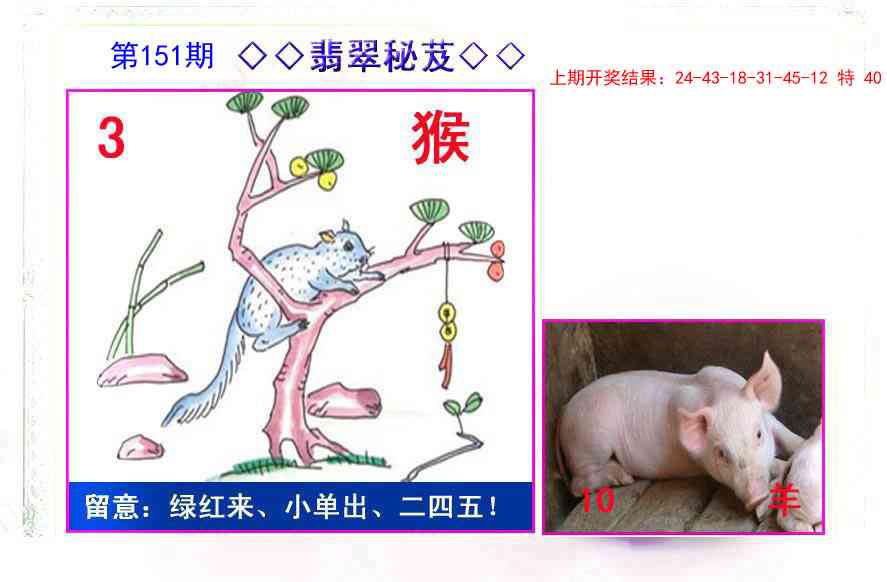 151期翡翠报[图]