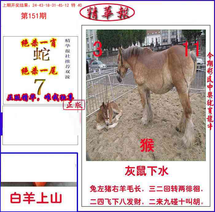151期新精华报报[图]